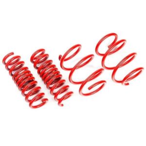 Suspension 2017+ Tesla Model 3 Long Range RWD Lowering Springs 25mm/25mm