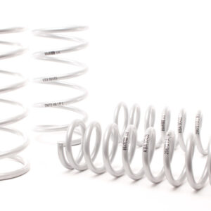 1990-1995 BMW 525I E34 Sport Spring (Non Touring)