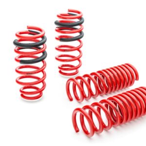 SPORTLINE Springs For 2013-2016 BMW F30 320I